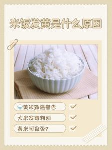 米饭发黄的8个解决方法_米饭变黄？白醋盐水救急，陈米真空防氧化！