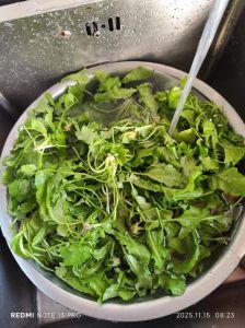荠菜做饺子馅要不要焯水_荠菜焯水去草酸，口感更佳！
