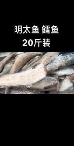 棒鱼和明太鱼的区别_高体墨头鱼吸盘吸附岩石，明太鱼晒成干鱼，肉质鲜美可烤可腌