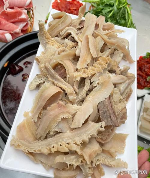 生牛肚和熟牛肚摆盘图片_生熟牛肚土豆摆盘美,口感佳 生牛肚和熟牛肚摆盘图片_生熟牛肚土豆摆盘美,口感佳