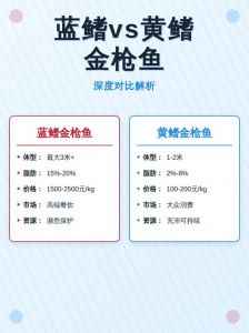 普通金枪鱼和蓝鳍金枪鱼的区别_长鳍蓝鳍黄鳍金枪鱼怎么选？