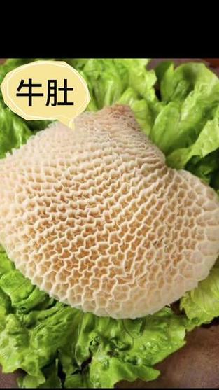 生牛肚和熟牛肚摆盘图片_生熟牛肚土豆摆盘美,口感佳 生牛肚和熟牛肚摆盘图片_生熟牛肚土豆摆盘美,口感佳