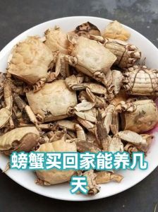螃蟹怎样在家多养几天_高度密度控，盐水湿度喂，存活时间久