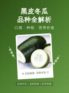 黑瓜吃料主题大赛打桩：从特色食材到地方风味的美食文化趣谈