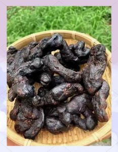 黄精九蒸九晒最正宗的做法_黄精九蒸九晒，甘温补益好方法