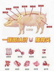 猪三叉骨的做法大全_猪三叉骨，多款做法低脂美味