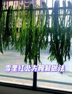 红腌菜的做法大全家常_腌红菜苔，选好料，加香料，密封放十日