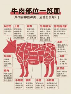 牛肉各个部位的正确吃法图解_掌握5个黄金牛肉部位，轻松提升家常烹饪体验