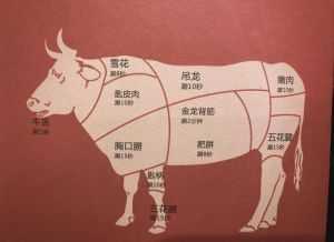潮汕牛肉部位分解图_潮汕牛肉火锅，26部位现切鲜嫩，蘸沙茶酱最地道！