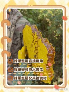 蜂巢蜜的食用方法_蜂巢蜜吃法多，嚼泡涂食要注意