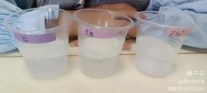 冰块化水最快的方法_热水快融冰，敲碎加盐更给力！