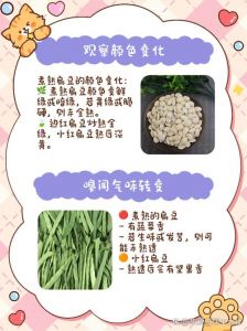 扁豆烫几分钟能熟_扁豆怎么煮？时间颜色浸泡小技巧