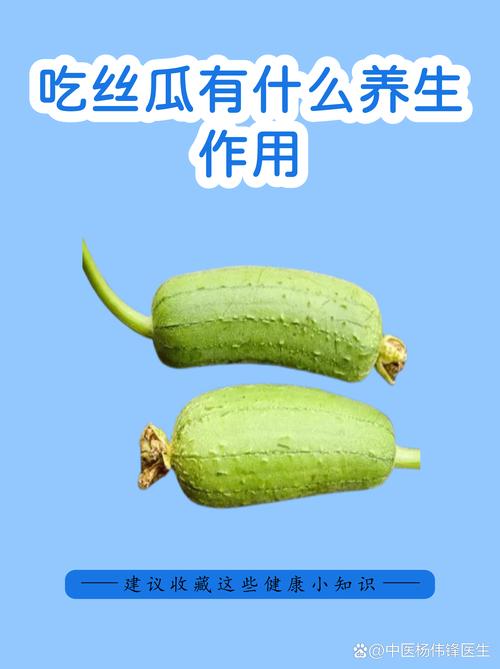 丝瓜含哪些营养成分_丝瓜营养高,清热解暑,夏季养生好食材 丝瓜含哪些营养成分_丝瓜营养高,清热解暑,夏季养生好食材