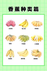 香蕉英语怎么说？一起了解香蕉的英文表达、营养特点与日常美食吃法