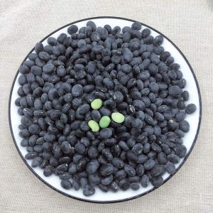 炒黑豆正确做法大全_黑豆清洗晾干炒制做法，脆香易消化