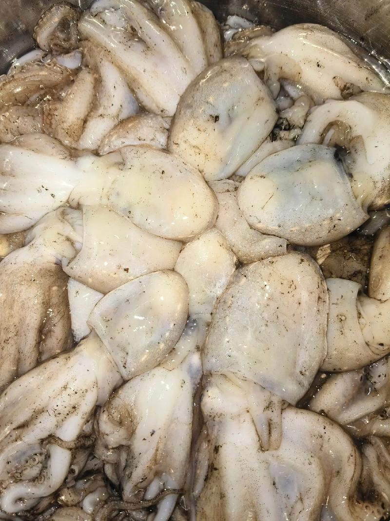 八爪鱼炖咸白菜的家常做法_暖心家常菜，鲜香暖心窝