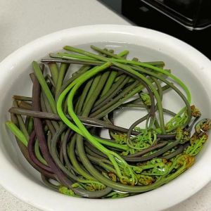 蕨菜最简单的做法_凉拌蕨菜爽脆美味，清热又营养，食用要适量！