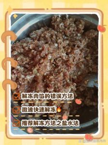 冷冻肉馅快速解冻方法_冷冻肉馅解冻方法多，流水冲淋冷藏缓化试试看