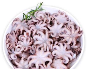 章鱼跟八爪鱼的区别_八爪鱼章鱼一样吗？