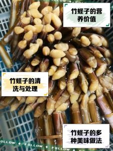 竹蛏子肉的做法大全_竹蛏子怎么选？美味做法大公开！