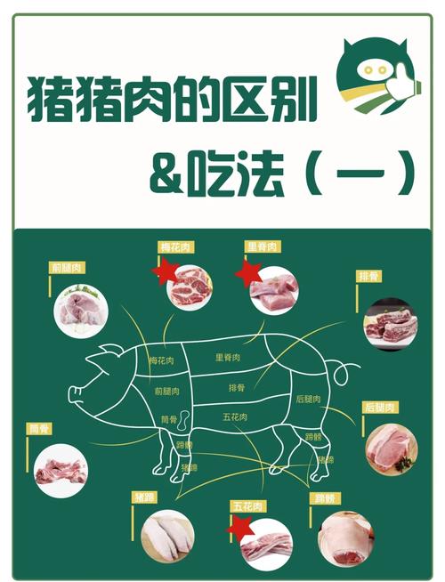 猪的每个部位适合做什么_里脊爆炒五花肉红烧,各部位烹饪技巧 猪的每个部位适合做什么_里脊爆炒五花肉红烧,各部位烹饪技巧