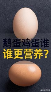 鹅蛋与鸡蛋在营养上有什么区别_营养与食用选择