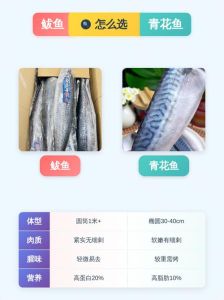 青鱼和鲅鱼区别图片对比_青鱼鲅鱼有啥区别？