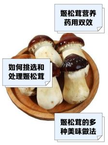 新鲜松茸如何处理_松茸极鲜期短，24小时内风味最佳！