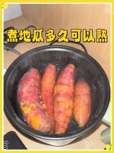 番薯用水煮多久才熟_水煮番薯时间及方法