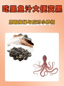 油管博主的生活2乌贼墨汁在哪_体验网红梦，剪辑互动升级