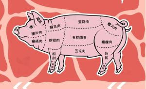 猪的哪个部位叫蹄膀_蹄膀做法多，炖煮入味好营养