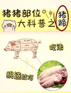 广东猪手和猪脚的区别_哪个更嫩？吃法大不同