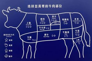 牛腱子肉是牛身上的哪个部位_牛腱部位不同，涮炒烤卤各有妙！