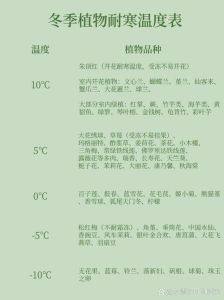 植物耐寒是什么意思_生理形态机制与城市绿化应用