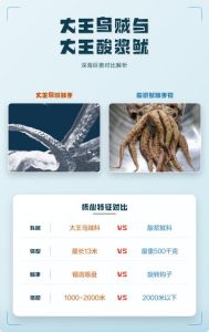 鱿鱼不同品种对比图_各种鱿鱼口感不同，选新鲜鱿鱼健康美味