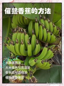 自然熟的香蕉和催熟香蕉的区别_自然熟香蕉营养甜，催熟更方便