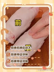 猪前后蹄区别图片_猪前蹄炖汤 Q弹 后蹄红烧肉香