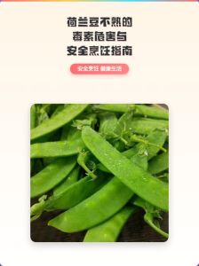 荷兰豆脆脆的是没熟吗_荷兰豆脆嫩易熟，春季时令营养好