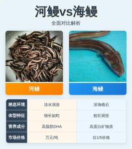 河鳗跟海鳗有什么区别_差异知多少？