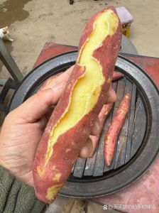 红薯要蒸多久才能熟_选对品种，巧用蒸锅，熟度好掌握！